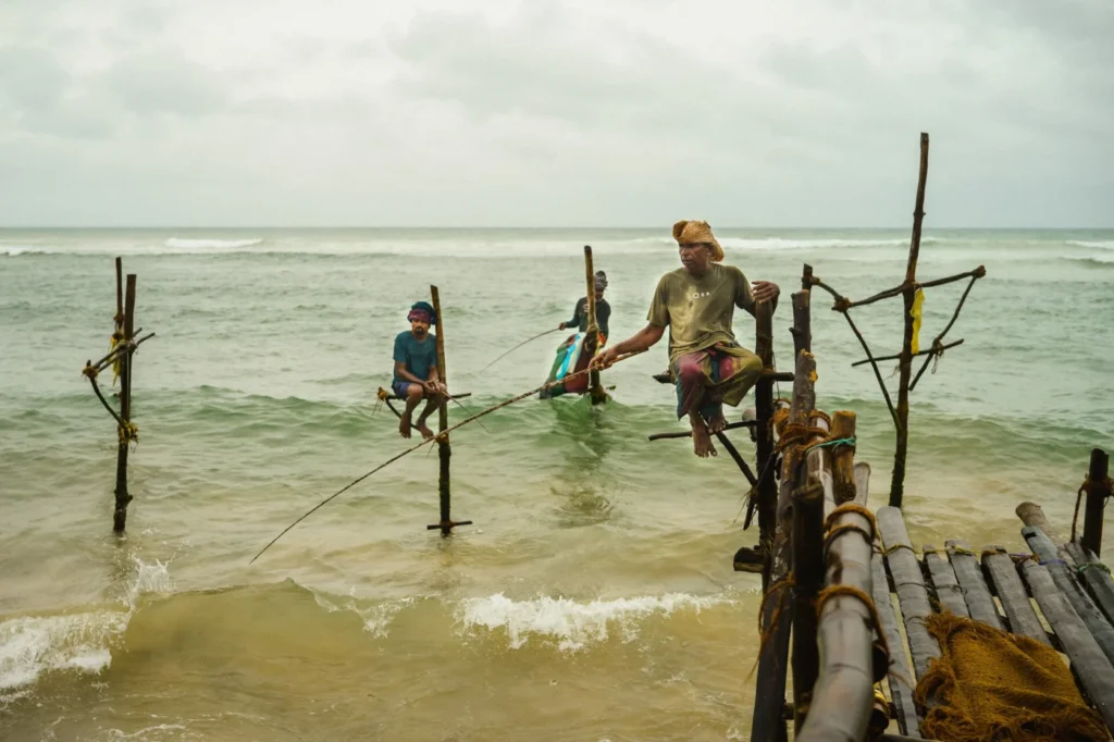 Fishers on wooden stilts above shallow coastal water near Ahangama, Sri Lanka