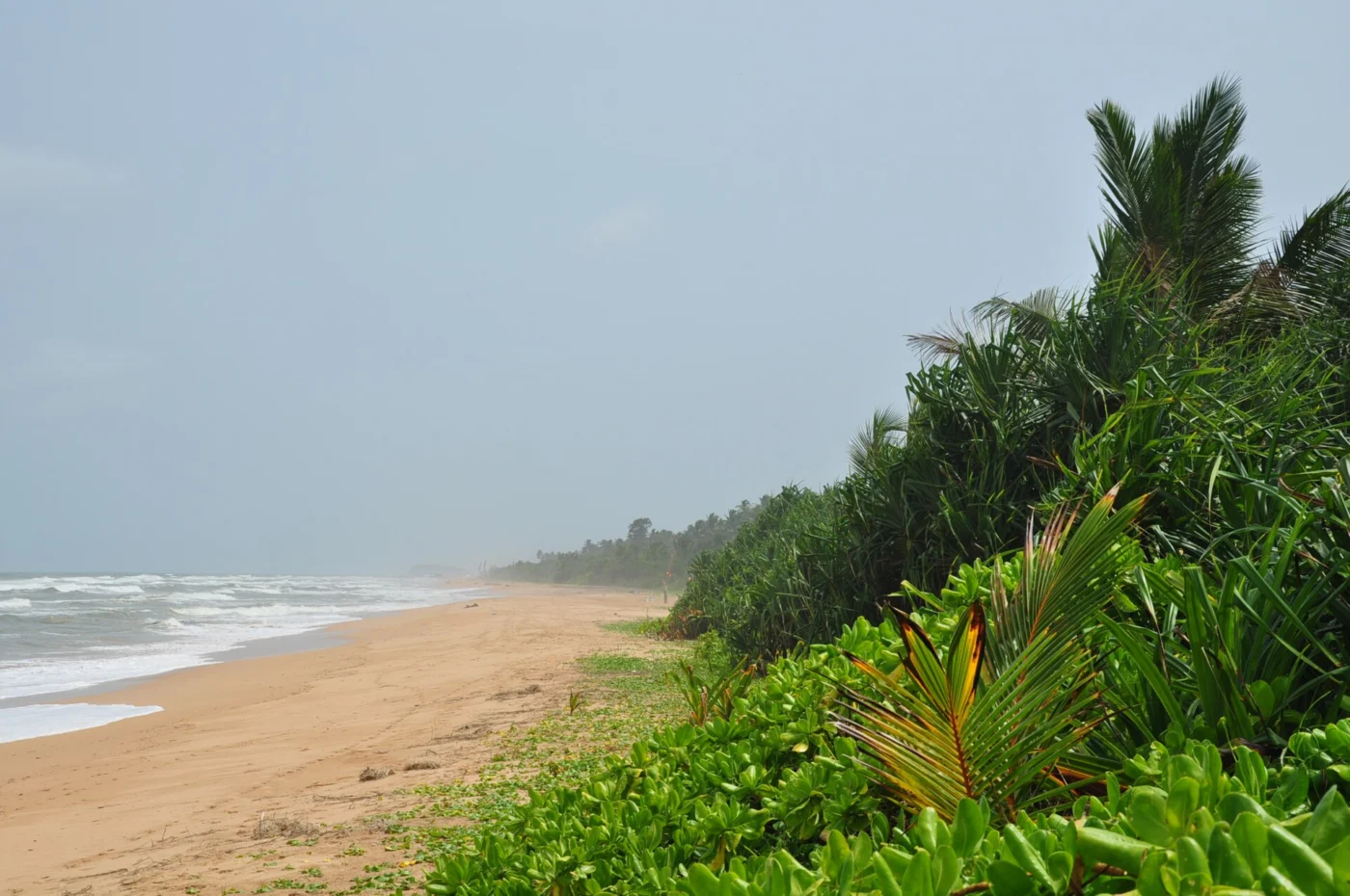 Bentota destination scenery