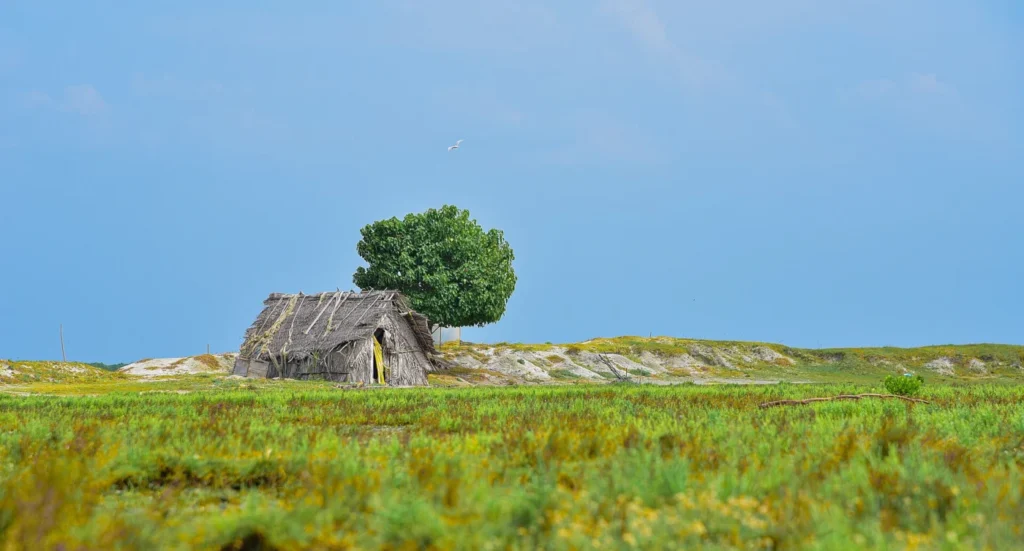 Small rustic shelter beside a lone tree in open green grassland at Kalpitiya, Sri Lanka