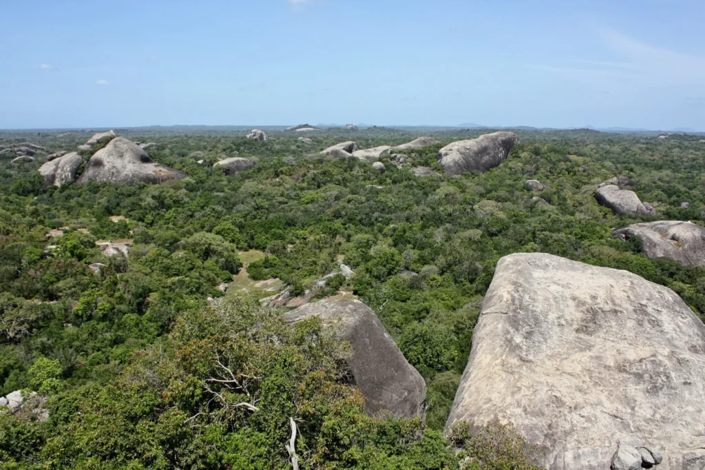 Rocky outcrops above dry-zone forest at Kudumbigala Sanctuary in the Kumana region, Sri Lanka