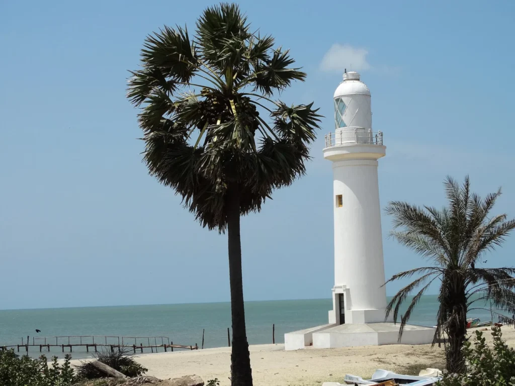 White Talaimannar lighthouse beside palmyra palms and the sea in Mannar District, Sri Lanka
