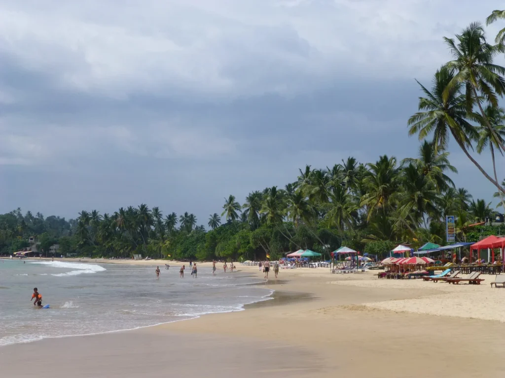 Sandy Mirissa Beach with palm trees, beach umbrellas and people near the water, Sri Lanka