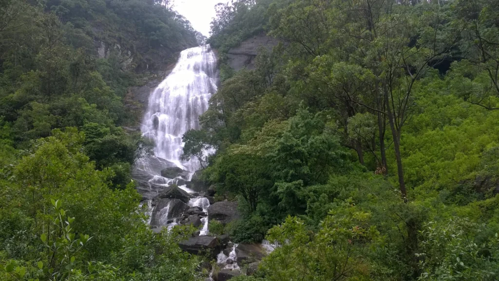 White cascades of Sri Paadha waterfall descending through green forest near Nallathanniya, Sri Lanka