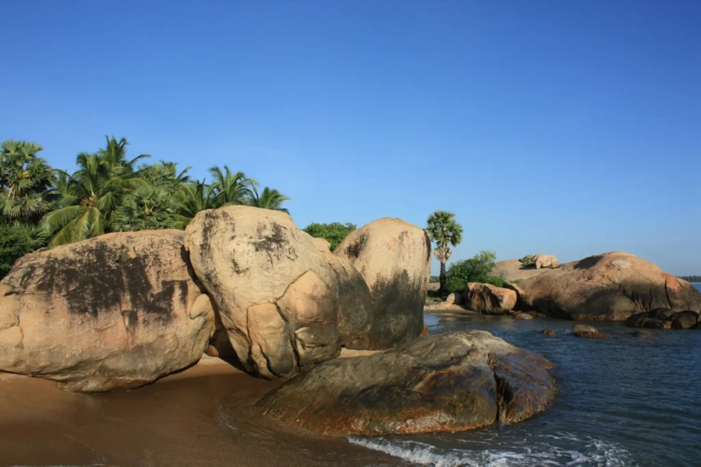 Pale shoreline rock formations, sand and coastal palms at Pasikudah Beach, Sri Lanka