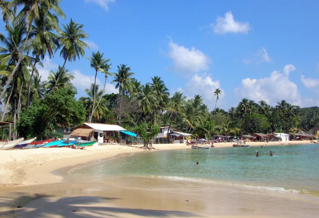 Palm-lined sandy beach and clear shallow water in the sheltered bay at Unawatuna, Sri Lanka